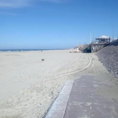 Calypso 3 Berck